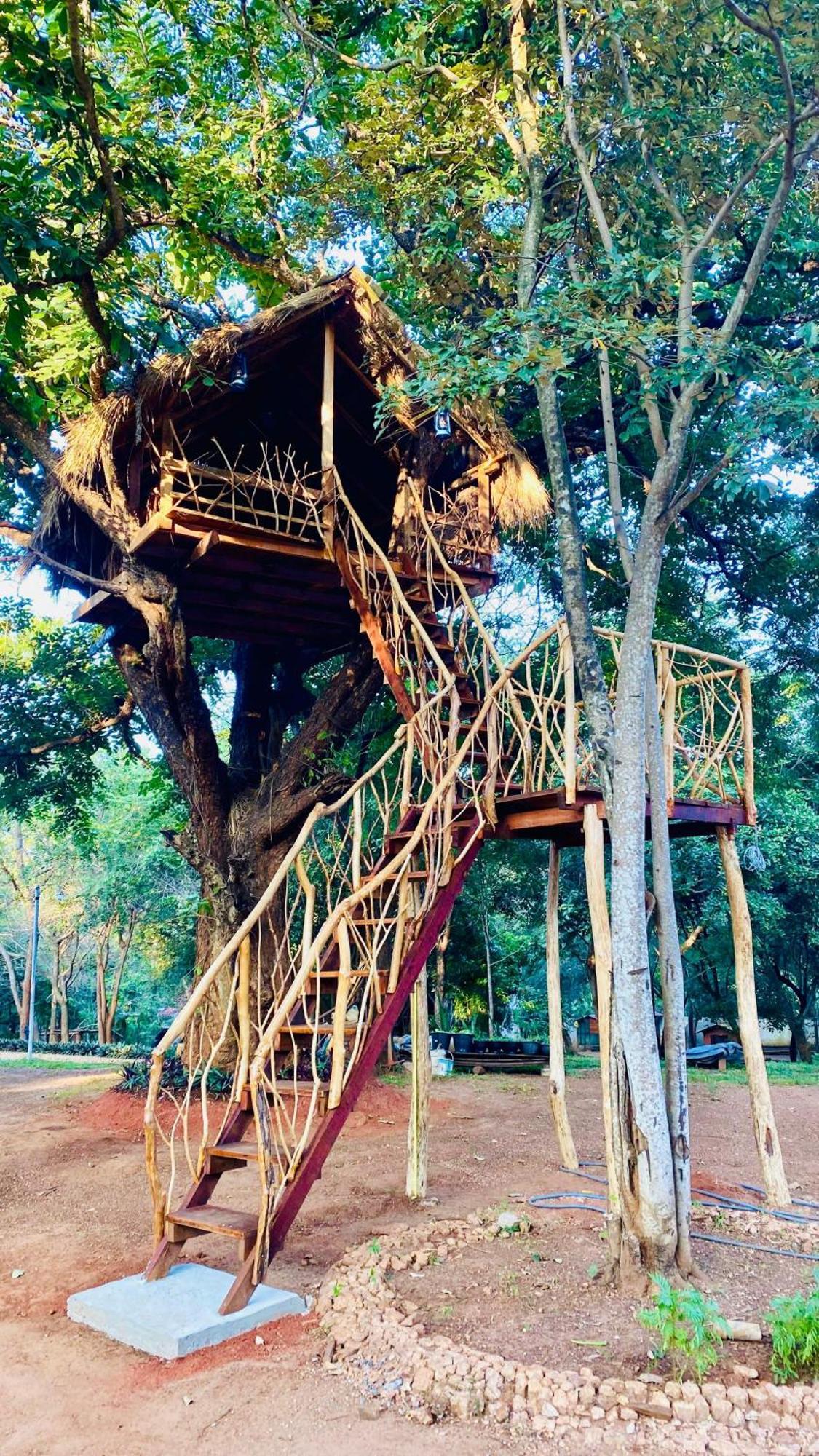 Ima Villa Sigiriya Dış mekan fotoğraf